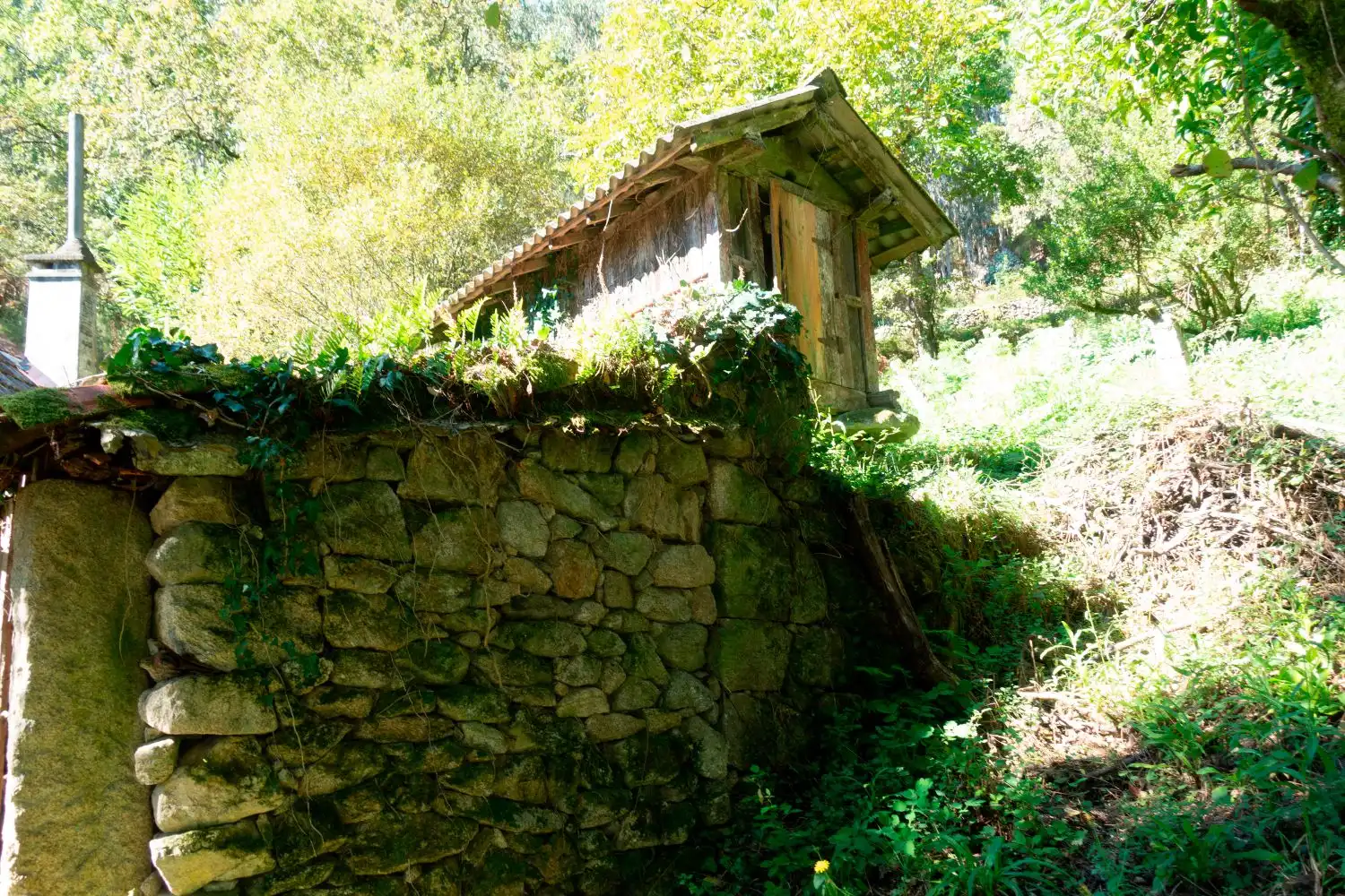 Maison à vendre à Covelo, imagen 30