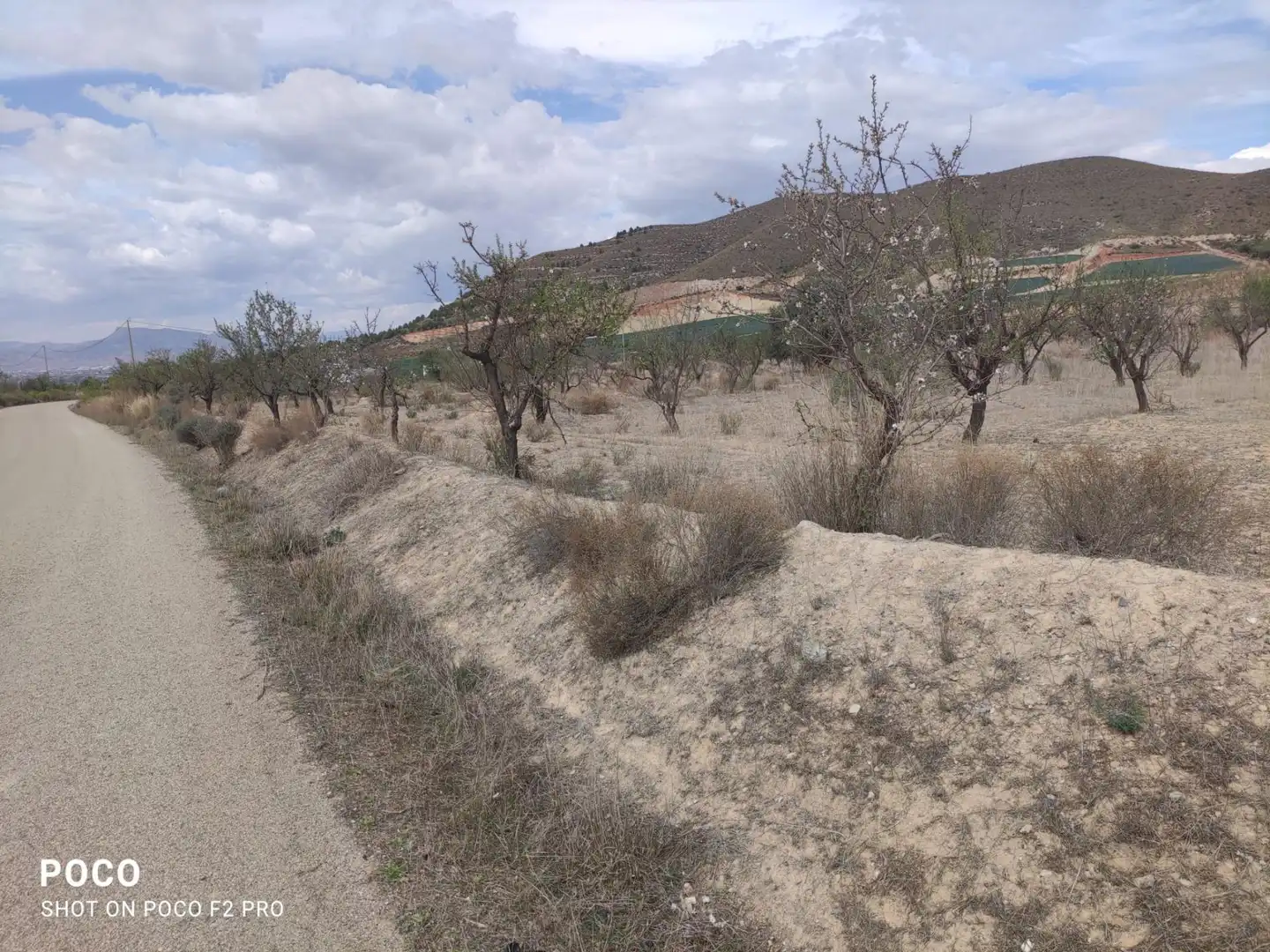 Terreni e lotti in vendita a Pedanías Centro, imagen 4