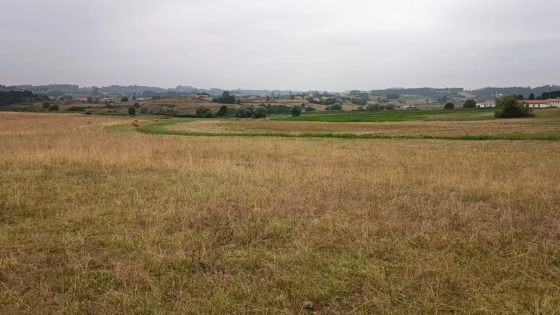 Terreno residencial en venta en GO-6, imagen 15