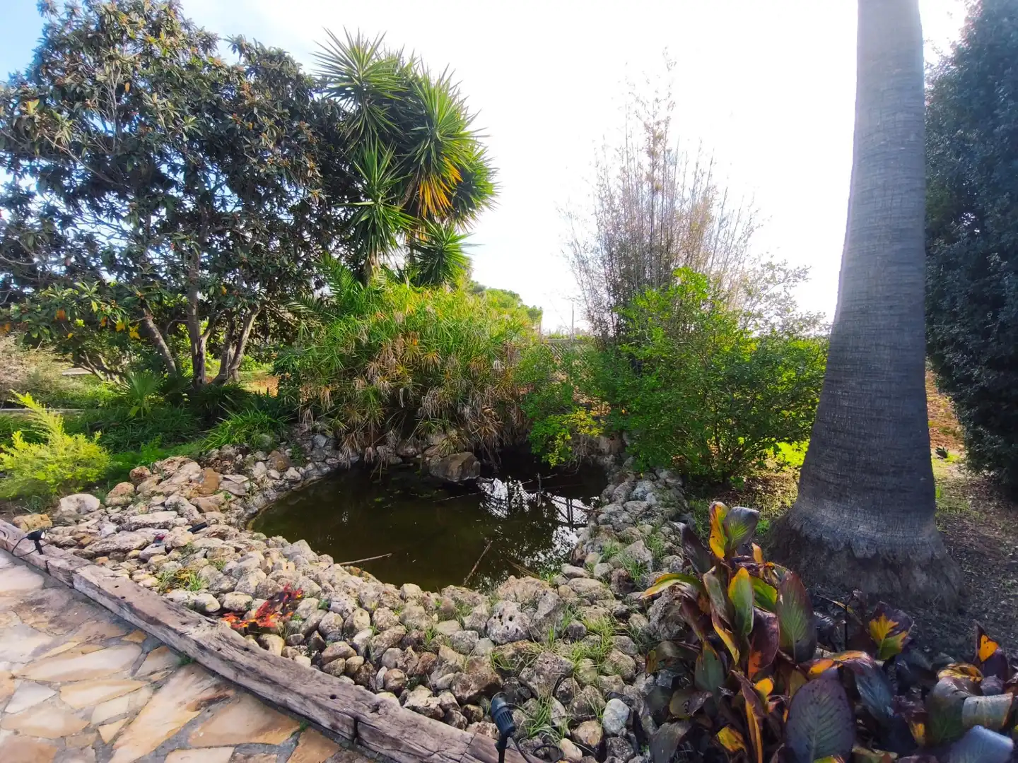 Villa avec piscine à vendre à Zona Periurbana, imagen 25