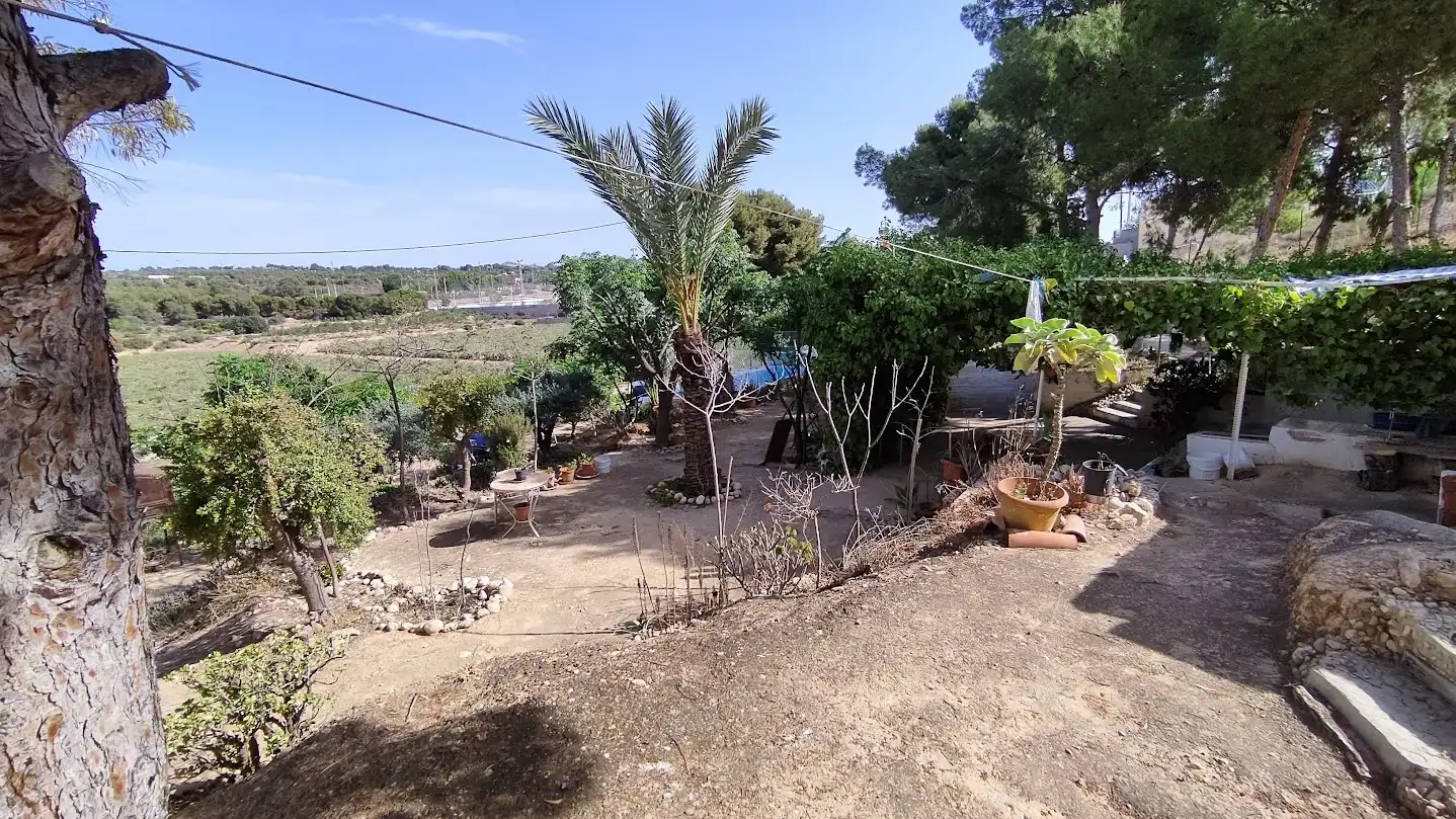 Casa o xalet en venda en Elche / Elx amb Piscina