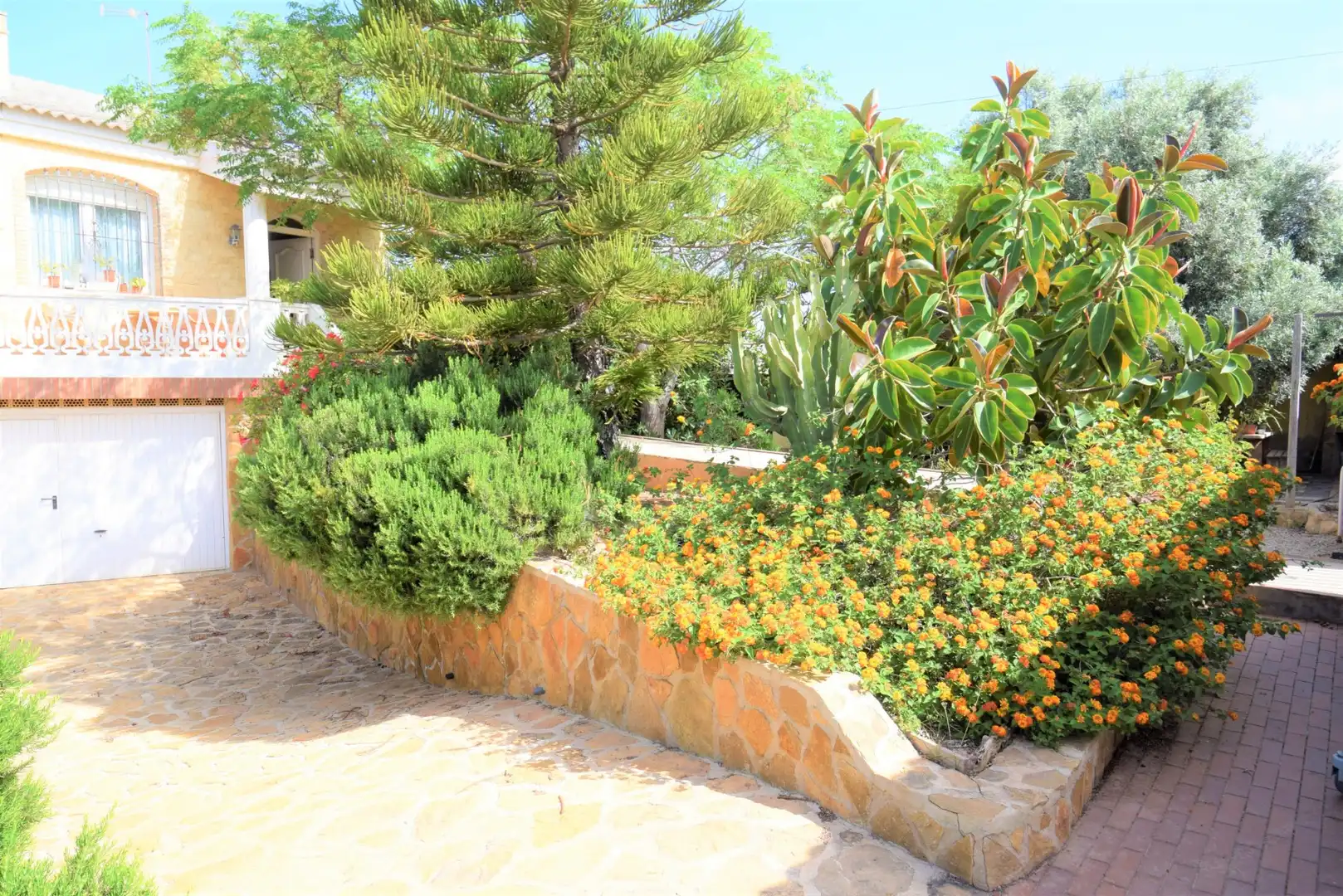 Villa avec jardin à vendre à Nueva Torrevieja - Aguas Nuevas, imagen 2