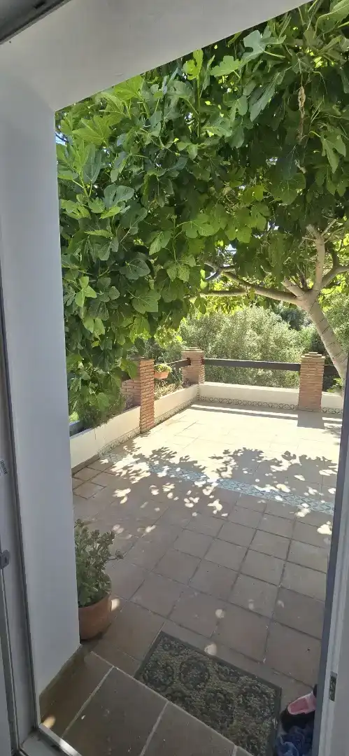 Terrace of Houses for rent in San García