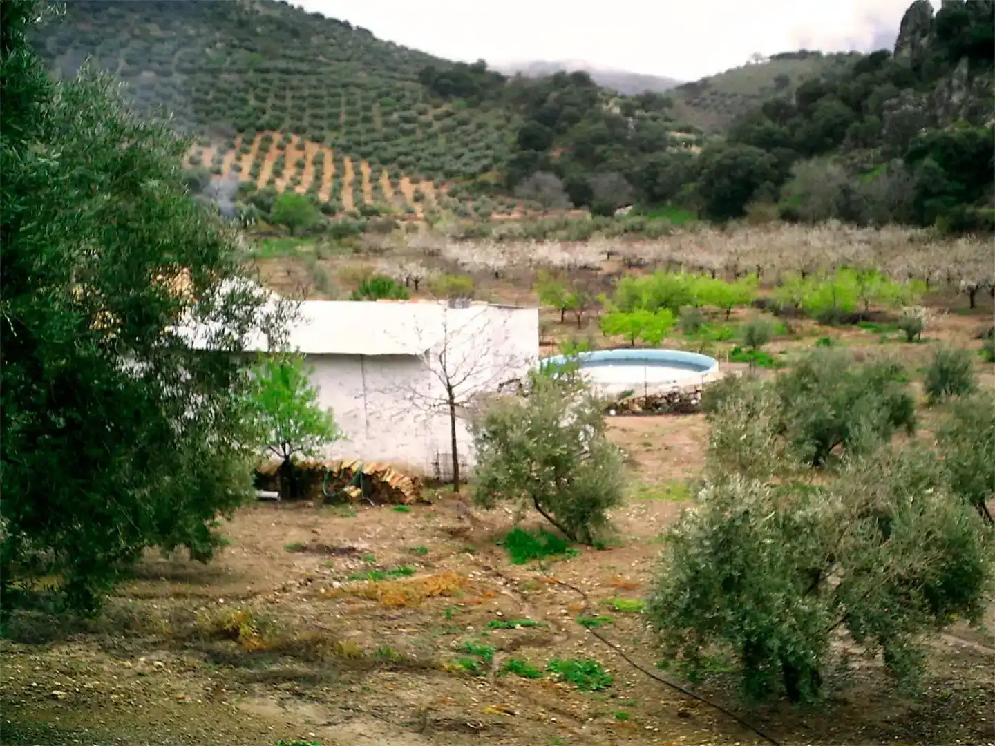 Garten von Country house zum Verkauf in Valdepeñas de Jaén mit Schwimmbad