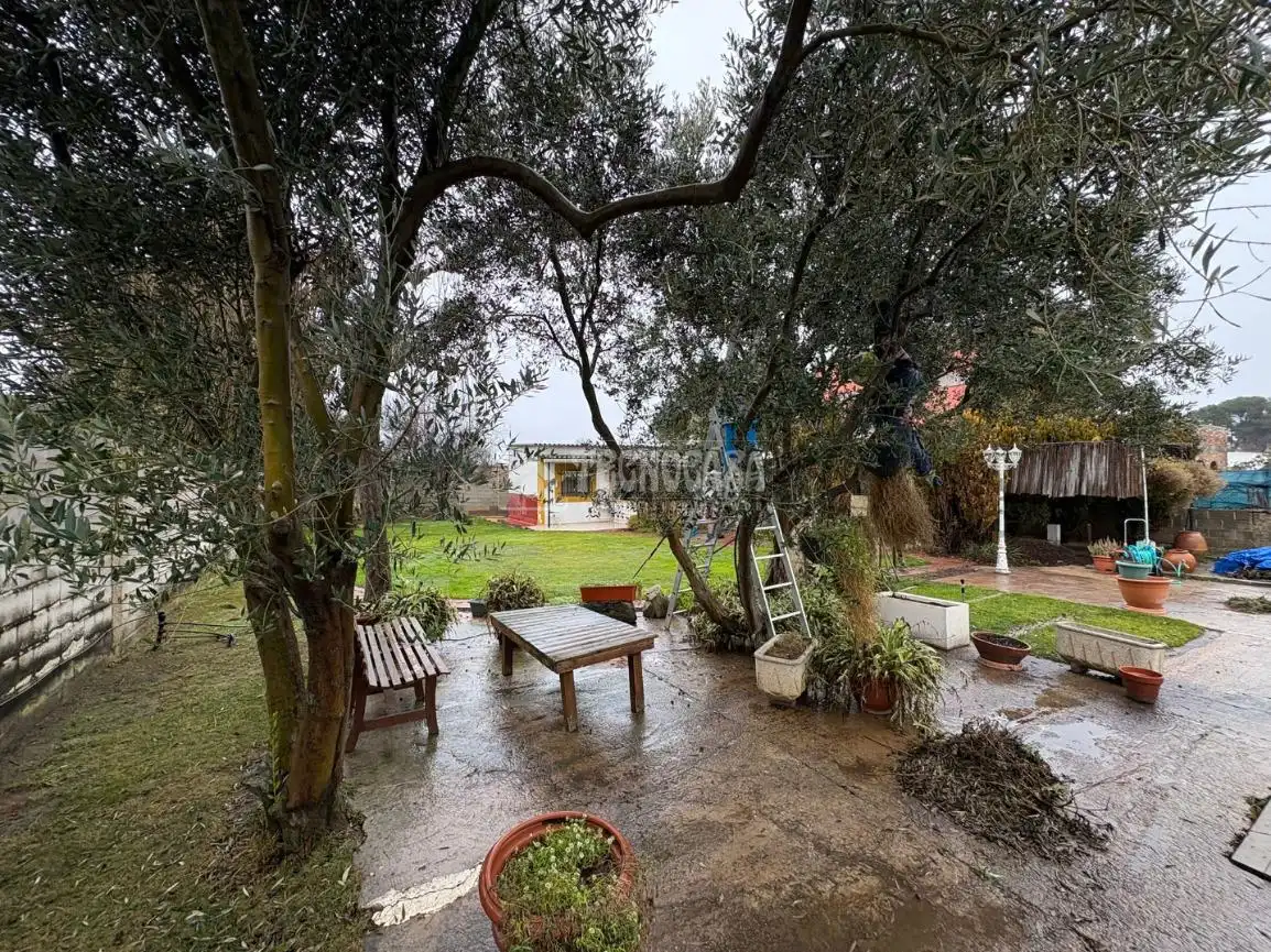 Jardín de Casa o chalet en venta en Zaragoza con Piscina