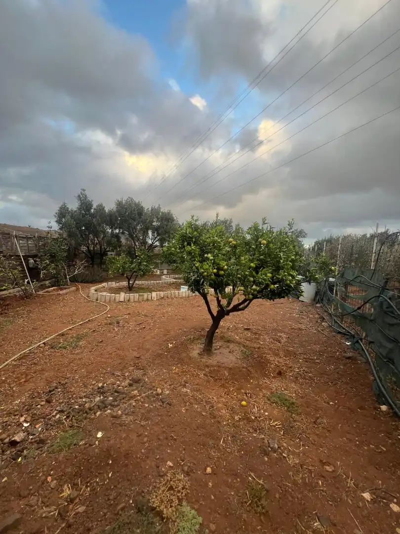 Rural land for sale in Ingenio pueblo, imagen 3