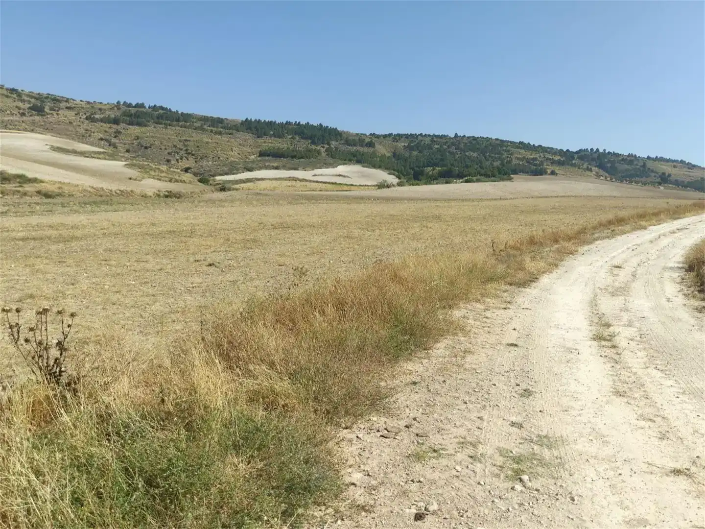 Finca rústica en venda en Barajas de Melo