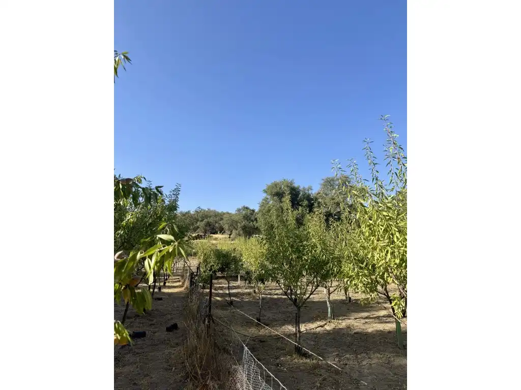 Casa rústica amb piscina en venda a Polígono 6 Parcela 425 LADERAS DE MAYORGA. SAN VICENTE DE ALCANTARA (BADAJOZ), imagen 21