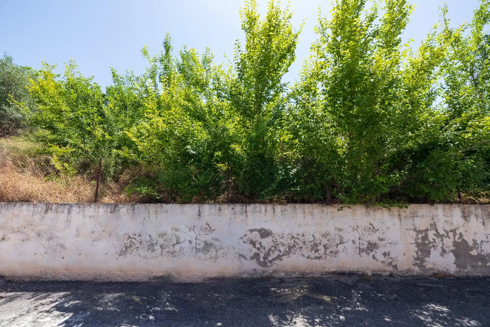Grundstücke und Bauplätze zum Verkauf in Calle Casillas 10, imagen 8