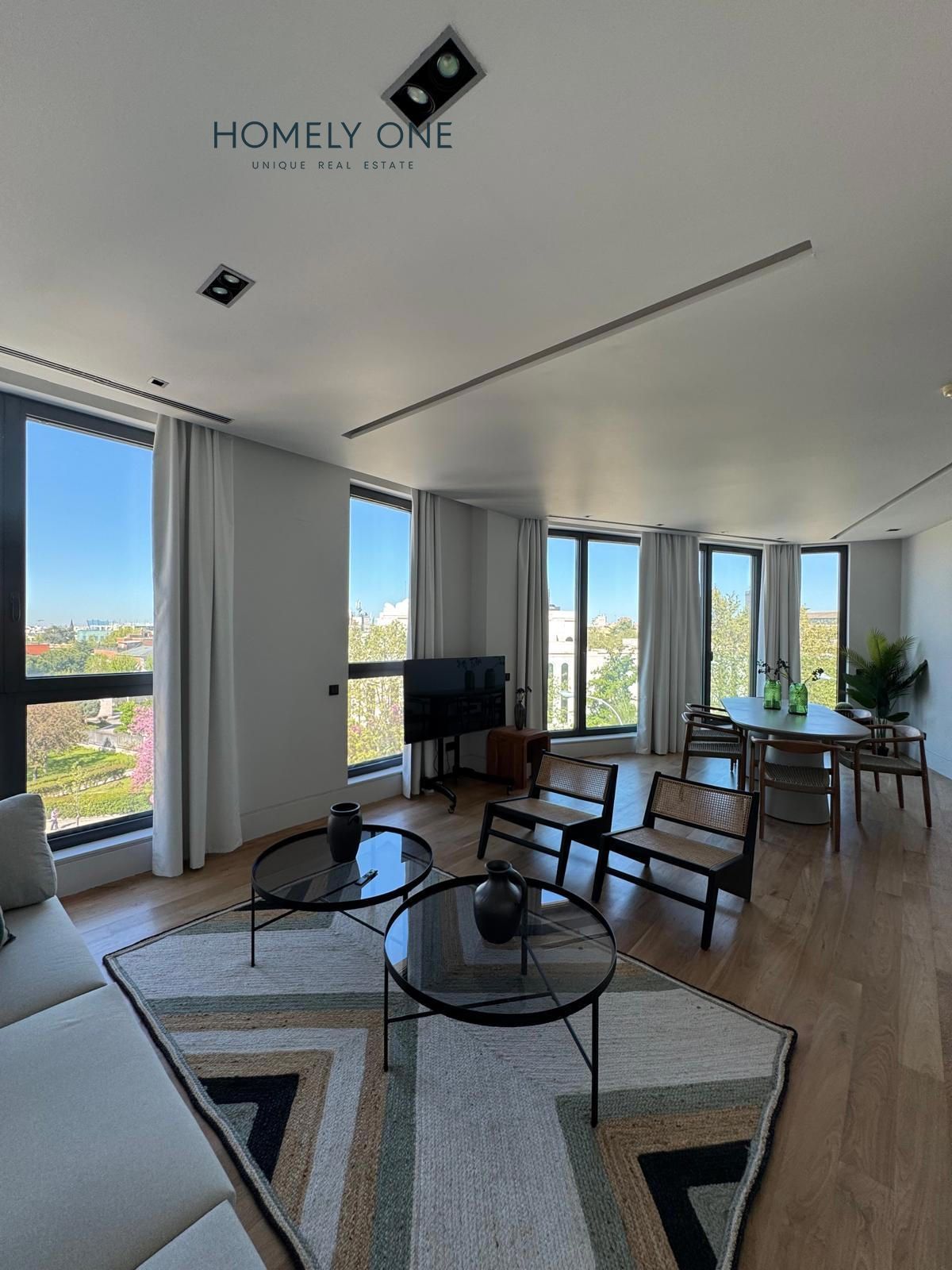 Living room of Flat to rent in  Madrid Capital  with Air Conditioner, Heating and Furnished