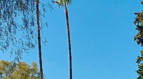 Foto 3 de Àtic en venda a Calle de la Rosa, Paraiso - Barronal, Estepona