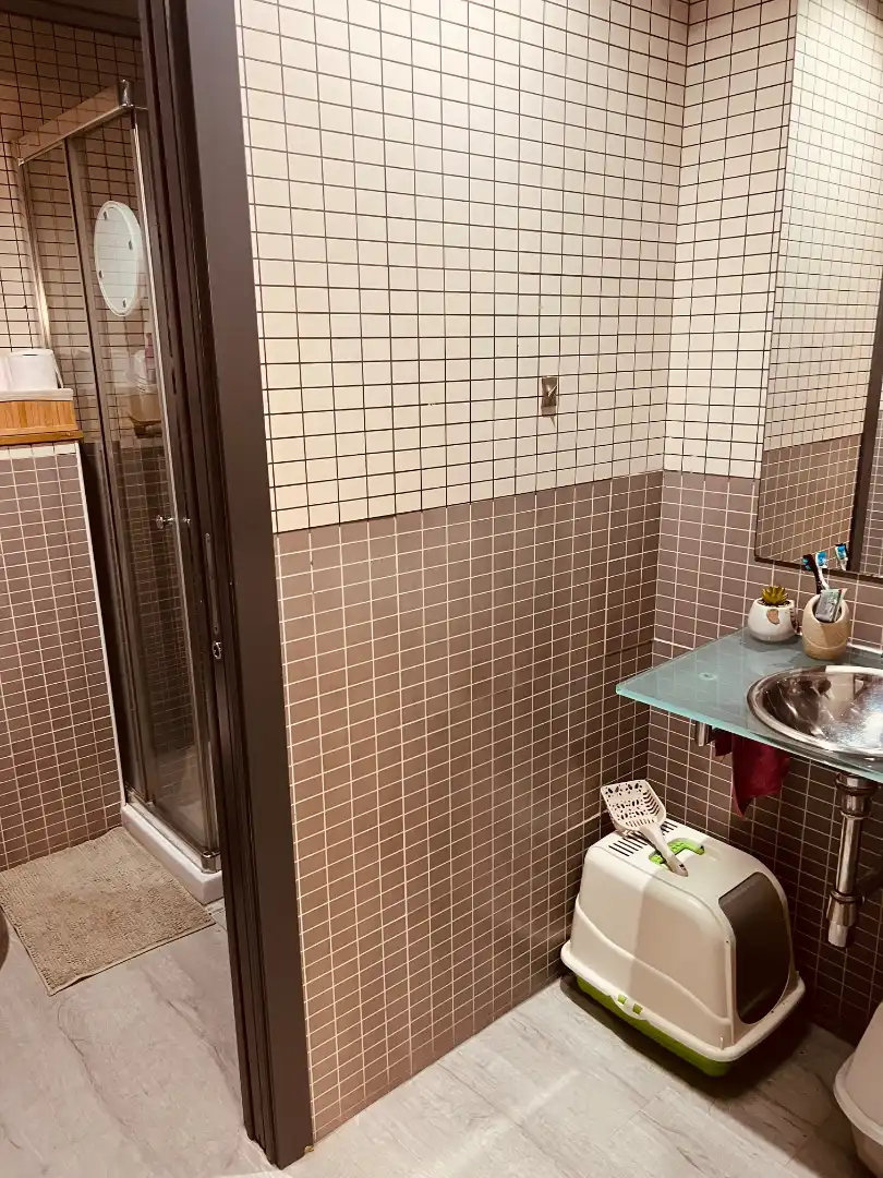Bany de Loft en venda en San Sebastián de los Reyes amb Aire condicionat, Calefacció i Jardí privat