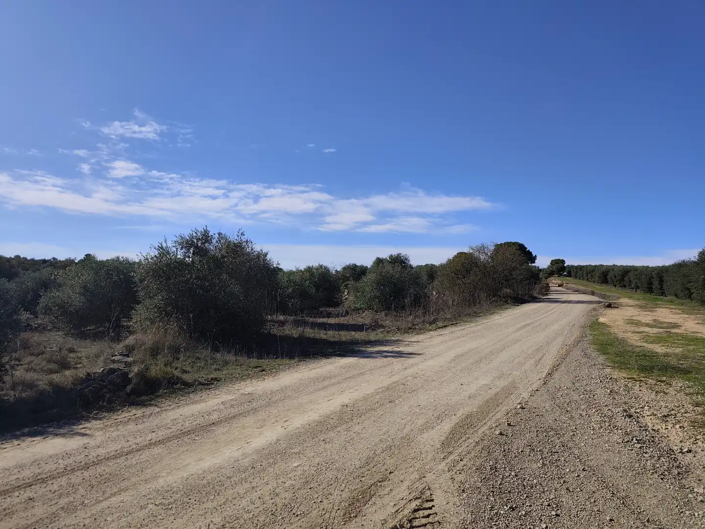 Terreny rústic en venda a Les Borges Blanques, imagen 13