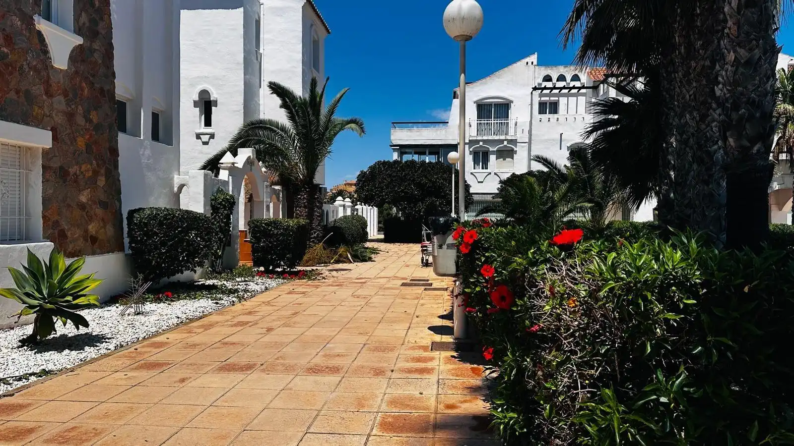 Vista exterior de Planta baixa de lloguer en Roquetas de Mar