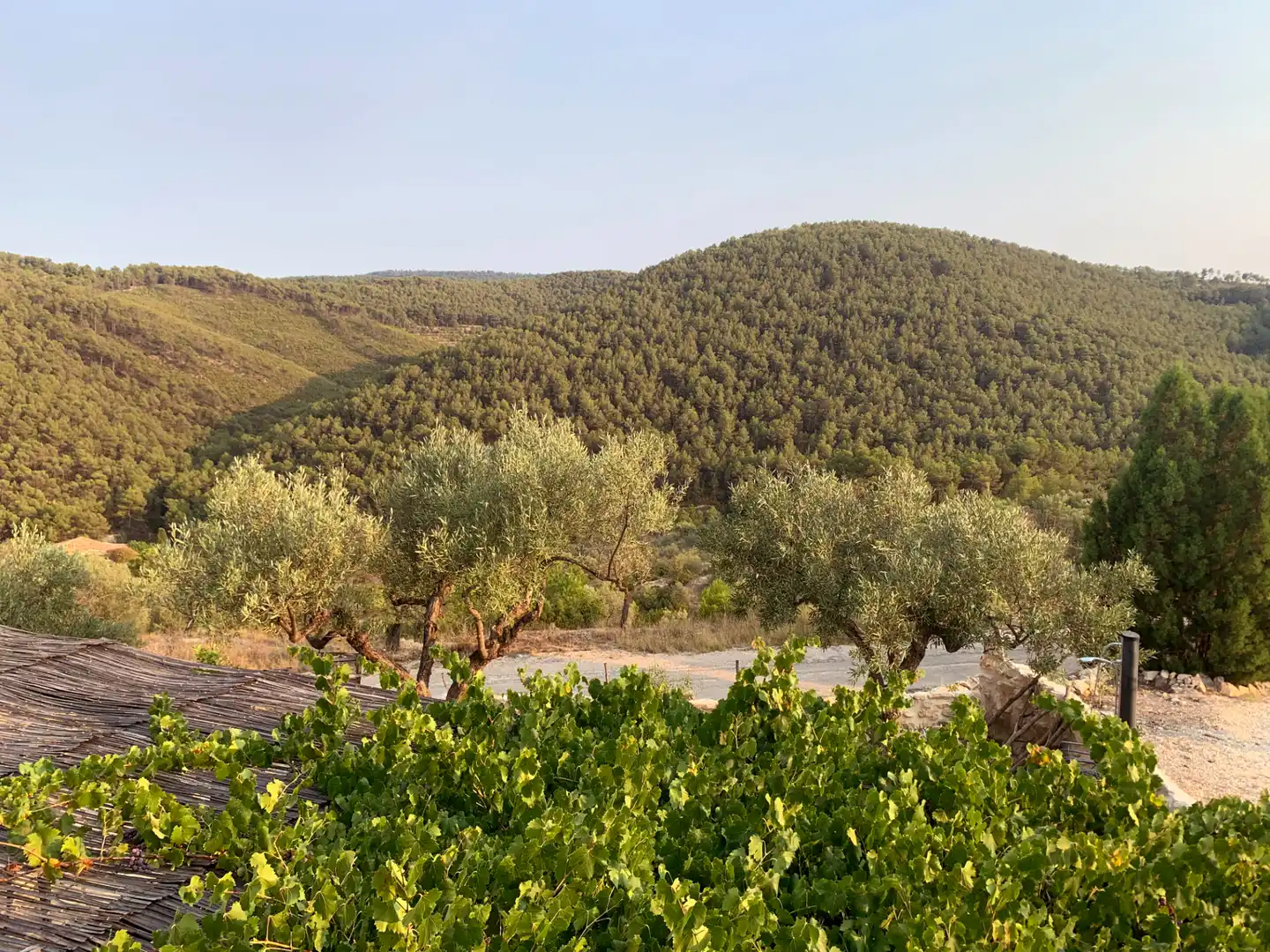 Country house with terrace for sale in Torremanzanas / La Torre de les Maçanes, imagen 20