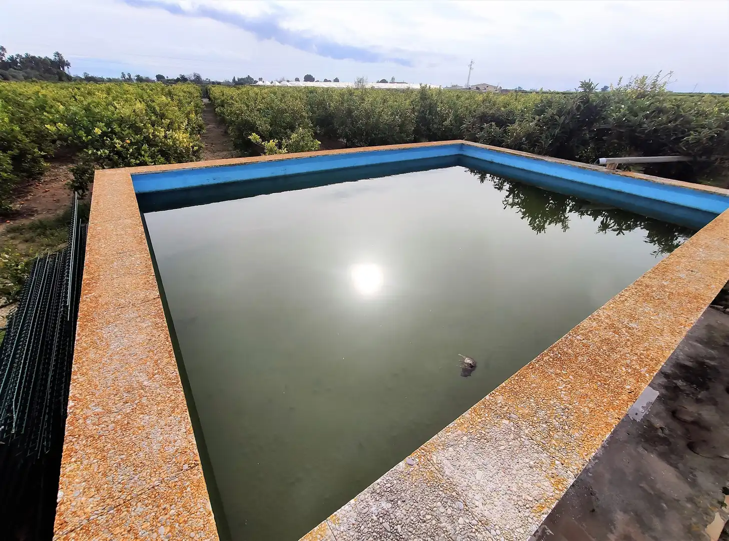 Rural land for sale in Alcanar, imagen 13