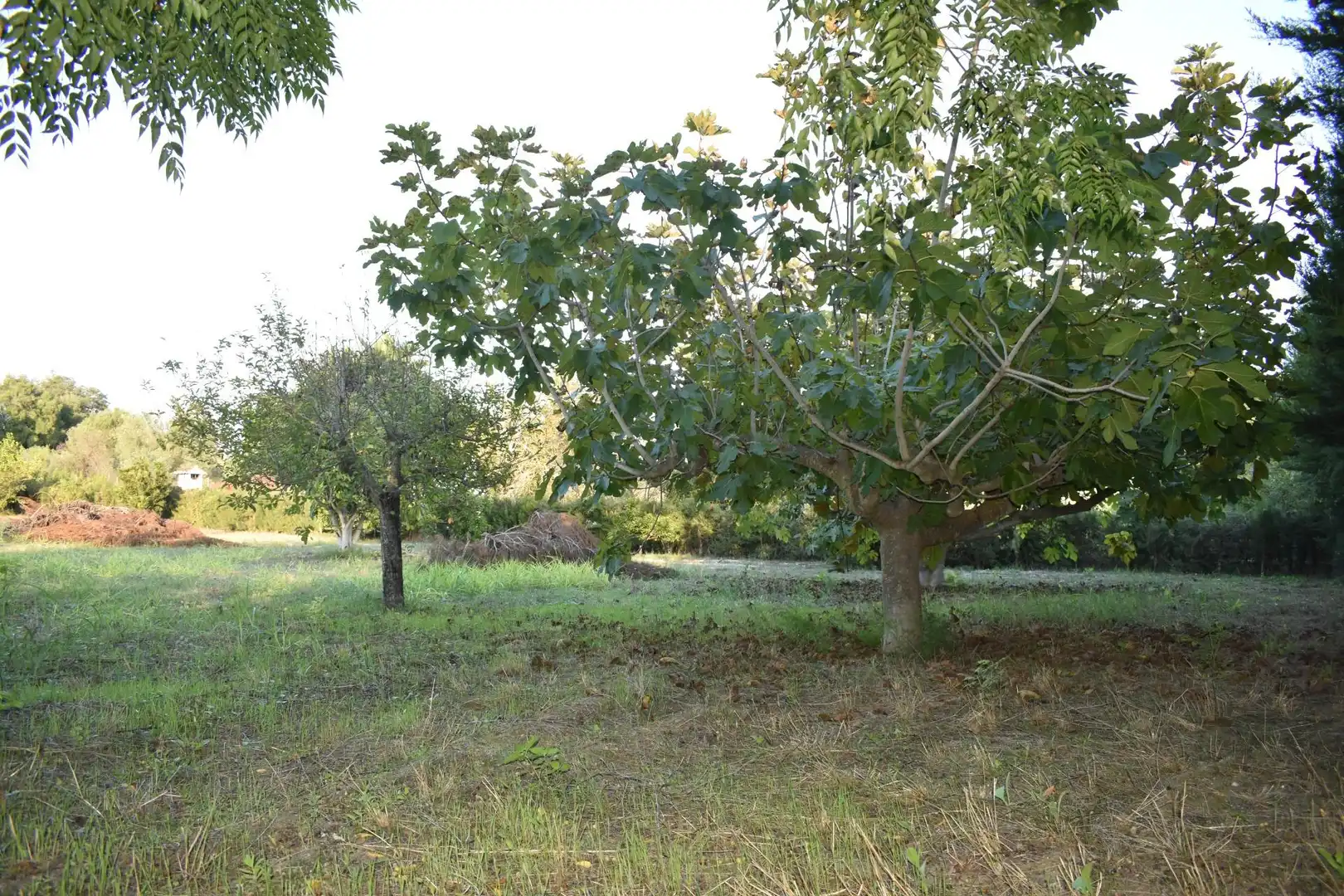 Casa o xalet en venda en Xàtiva amb Aire condicionat, Calefacció i Jardí privat