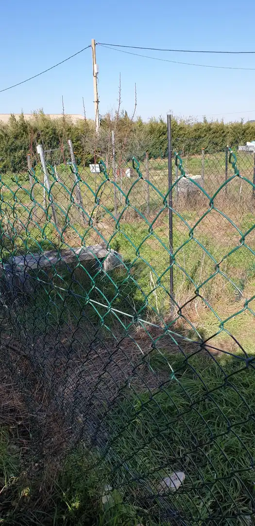 Terreny rústic en venda a Murillo de Río Leza, imagen 9