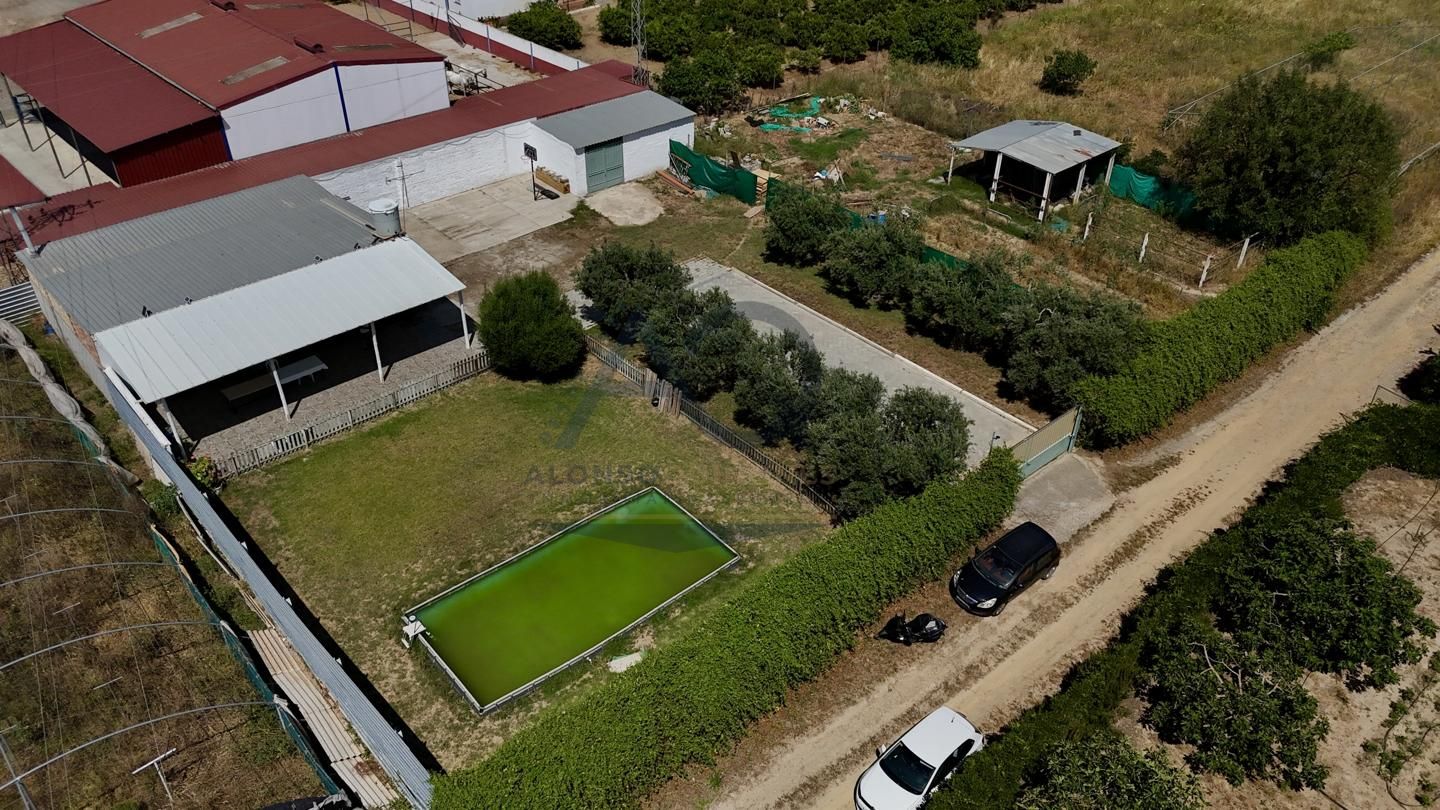 Finca rústica en venda en Los Palacios y Villafranca