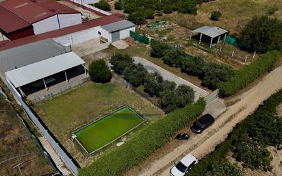 Country house for sale in Los Palacios y Villafranca