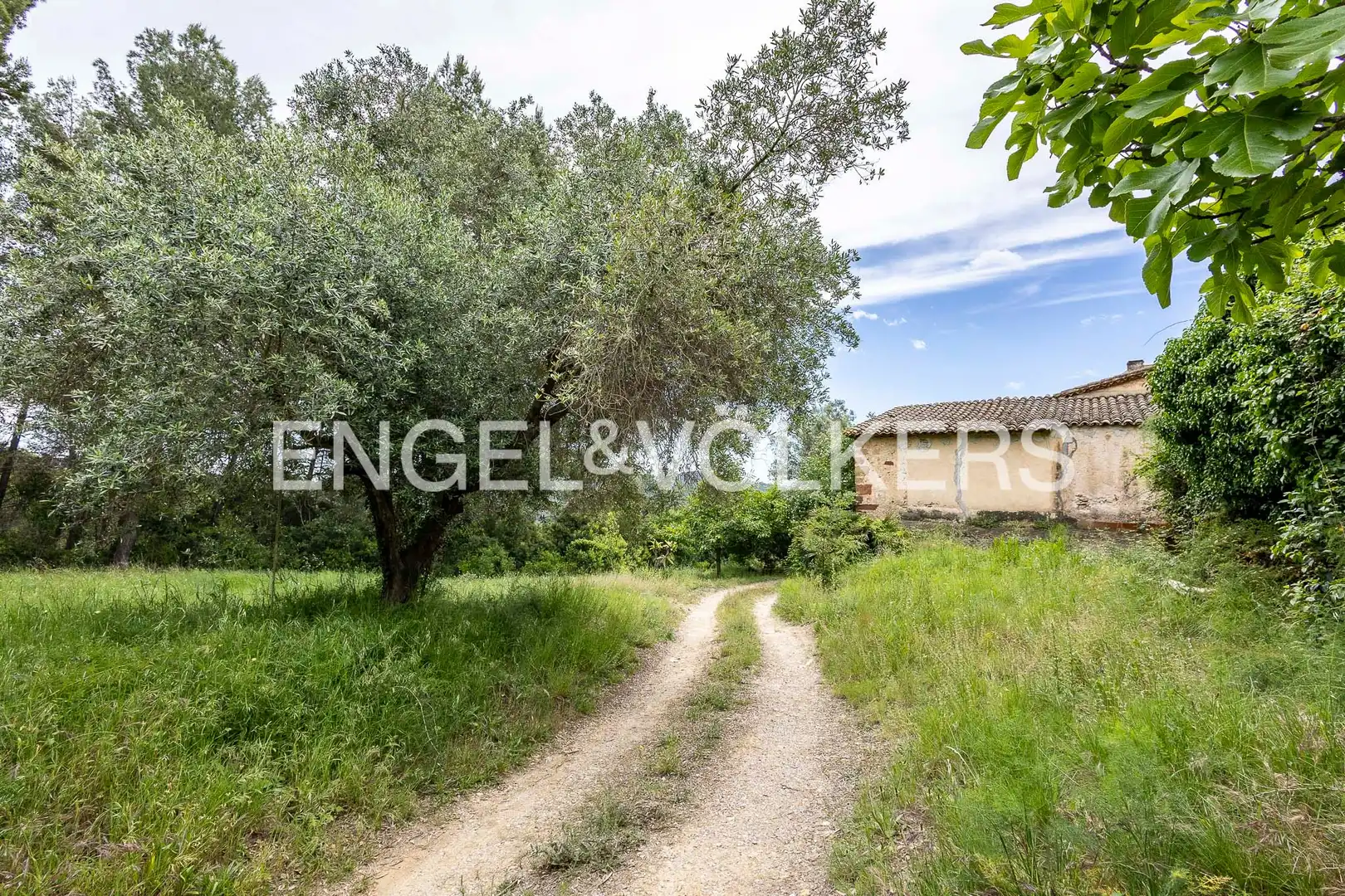 Haus mit Garten zum Verkauf in Corbera de Llobregat, imagen 48