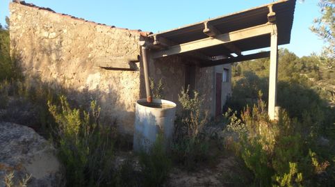 OPORTUNIDA FINCA AGRICOLA EN FLIX  RIBERA DEBRE, immagine 2
