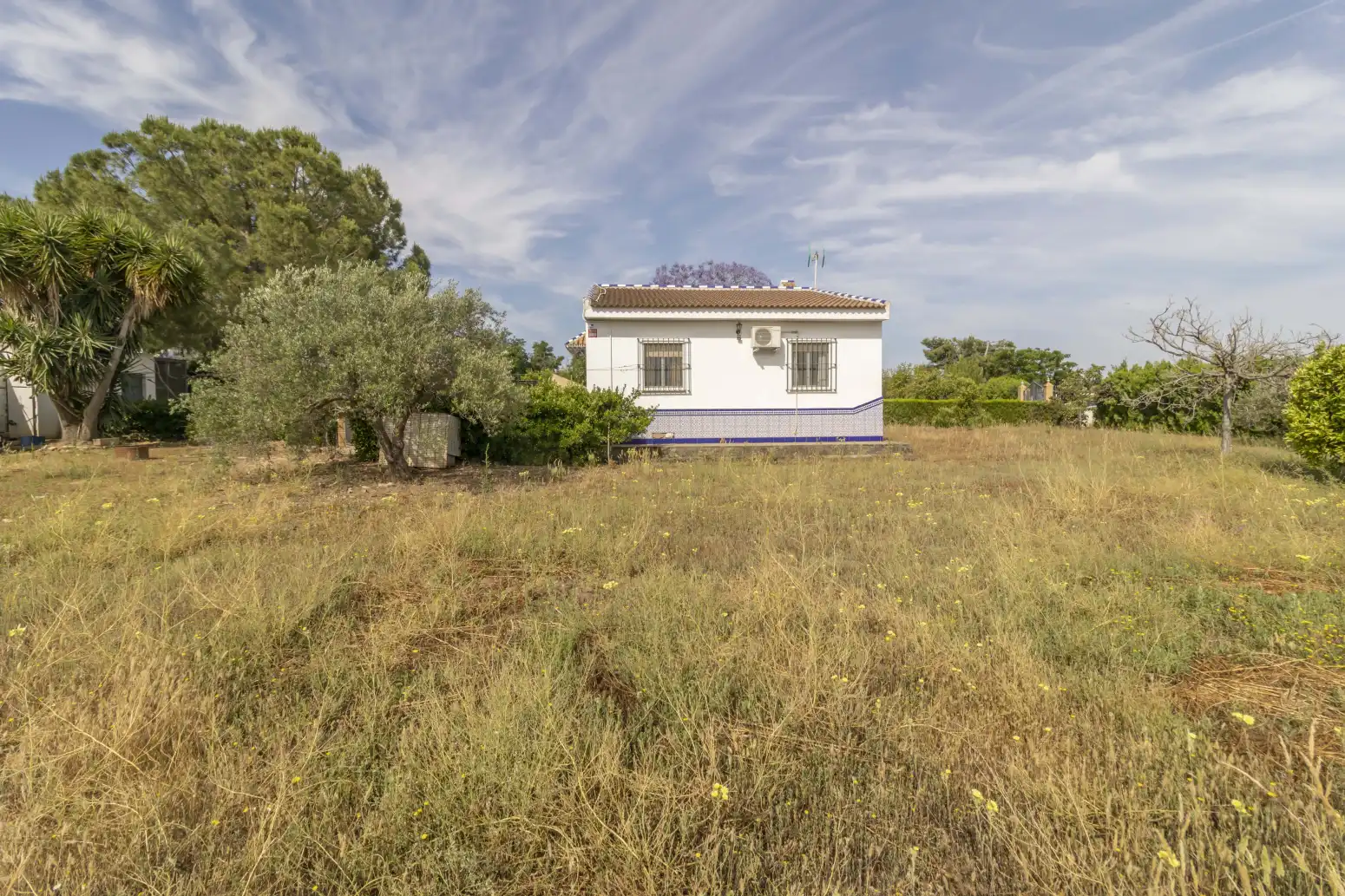 Casa o chalet en venta en Carmona con Piscina