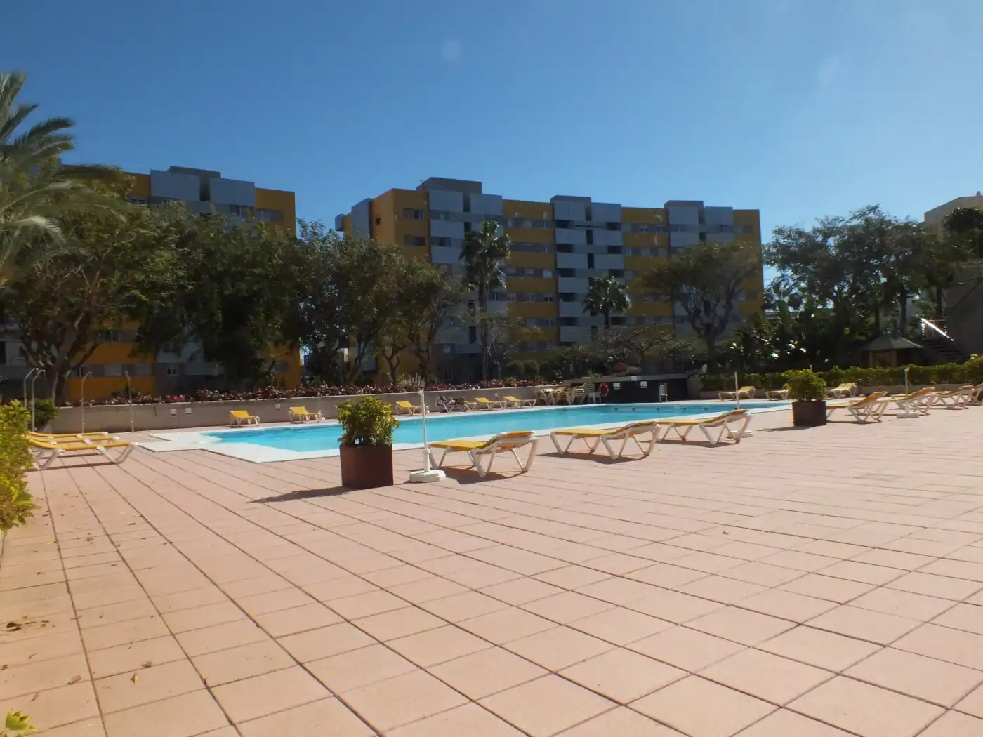 Schwimmbecken von Wohnung zum Verkauf in Las Palmas de Gran Canaria mit Privatgarten, Terrasse und Möbliert