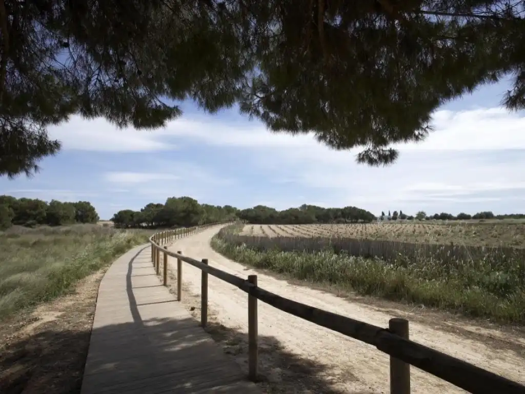 Bungalow avec piscine à vendre à Nueva Torrevieja - Aguas Nuevas, imagen 5