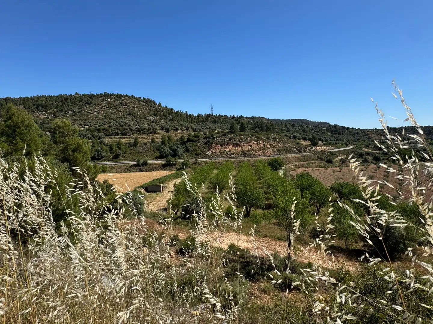 Terreno rustico in vendita a Avenida Virgen de Gracia 17B, imagen 13