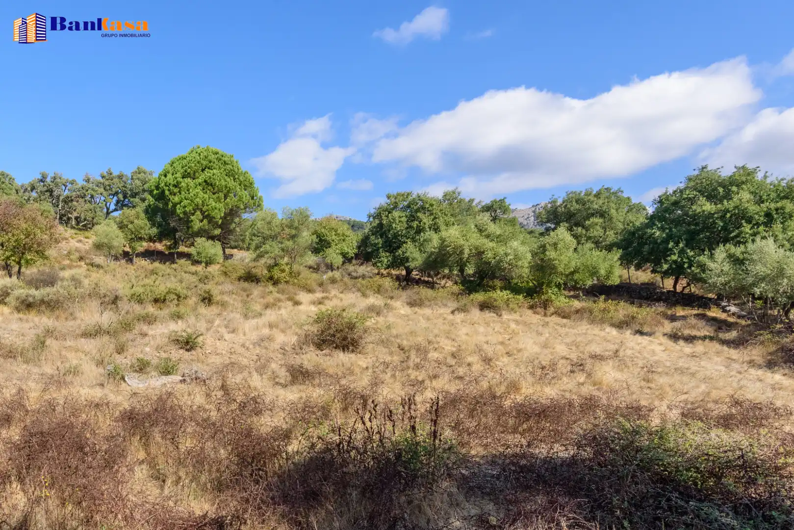 Casa o xalet en venda en Cortes de la Frontera amb Calefacció, Jardí privat i Moblat