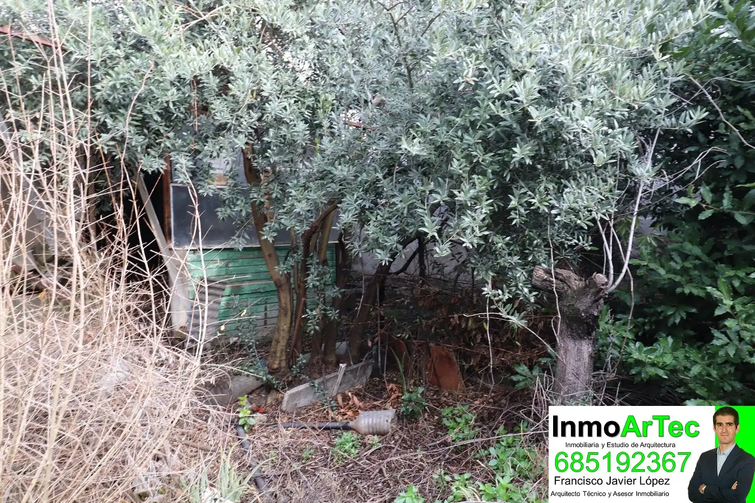 Casa o xalet en venda en Íllora amb Jardí privat, Terrassa i Balcó