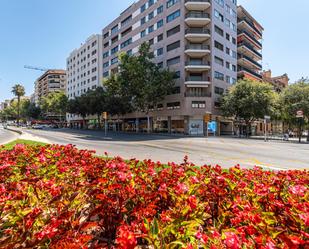 Vista exterior de Oficina en venda en  Palma de Mallorca amb Aire condicionat