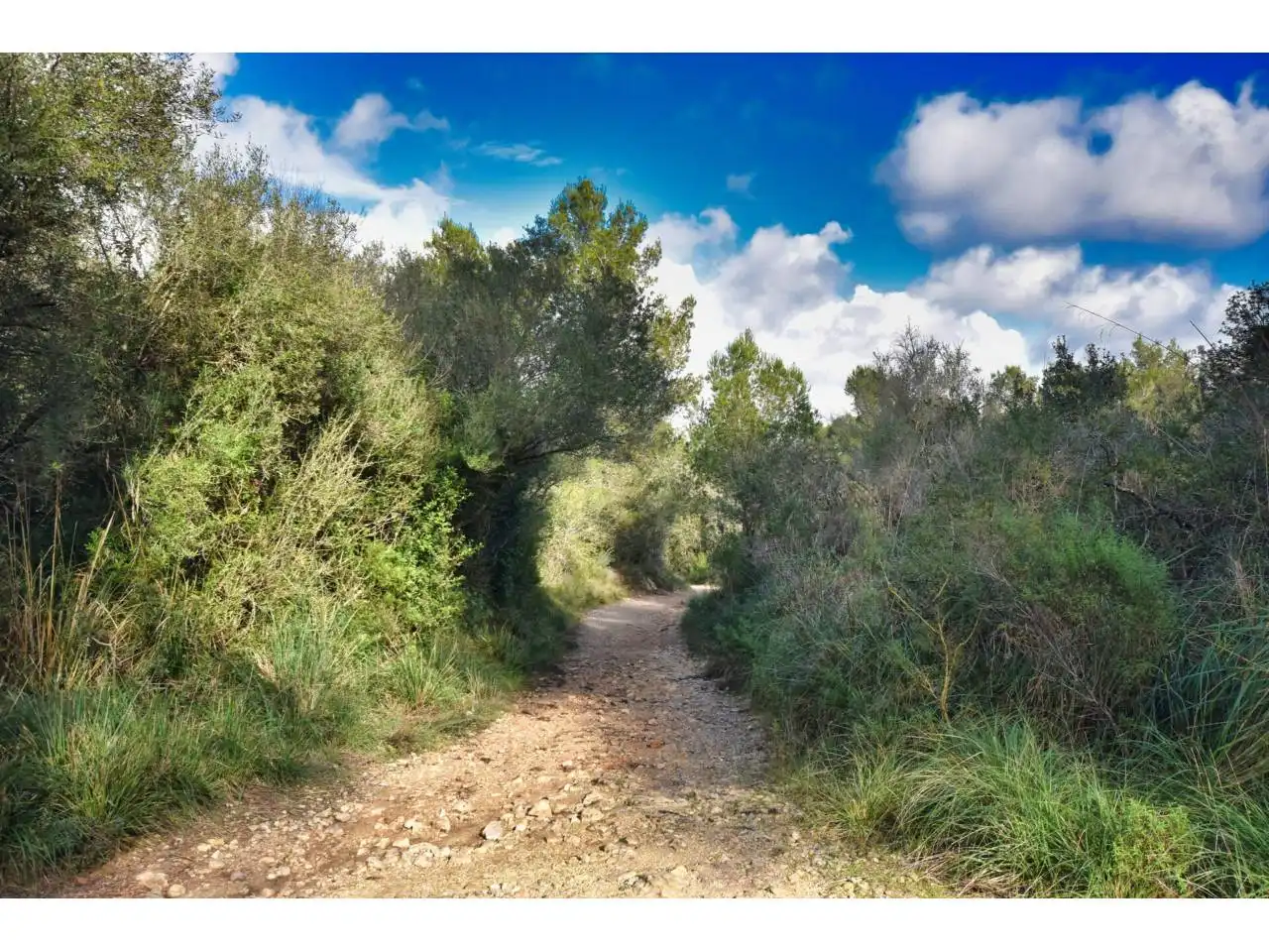 Wohnbaugrundstück zum Verkauf in Poligono 34 1254, imagen 4