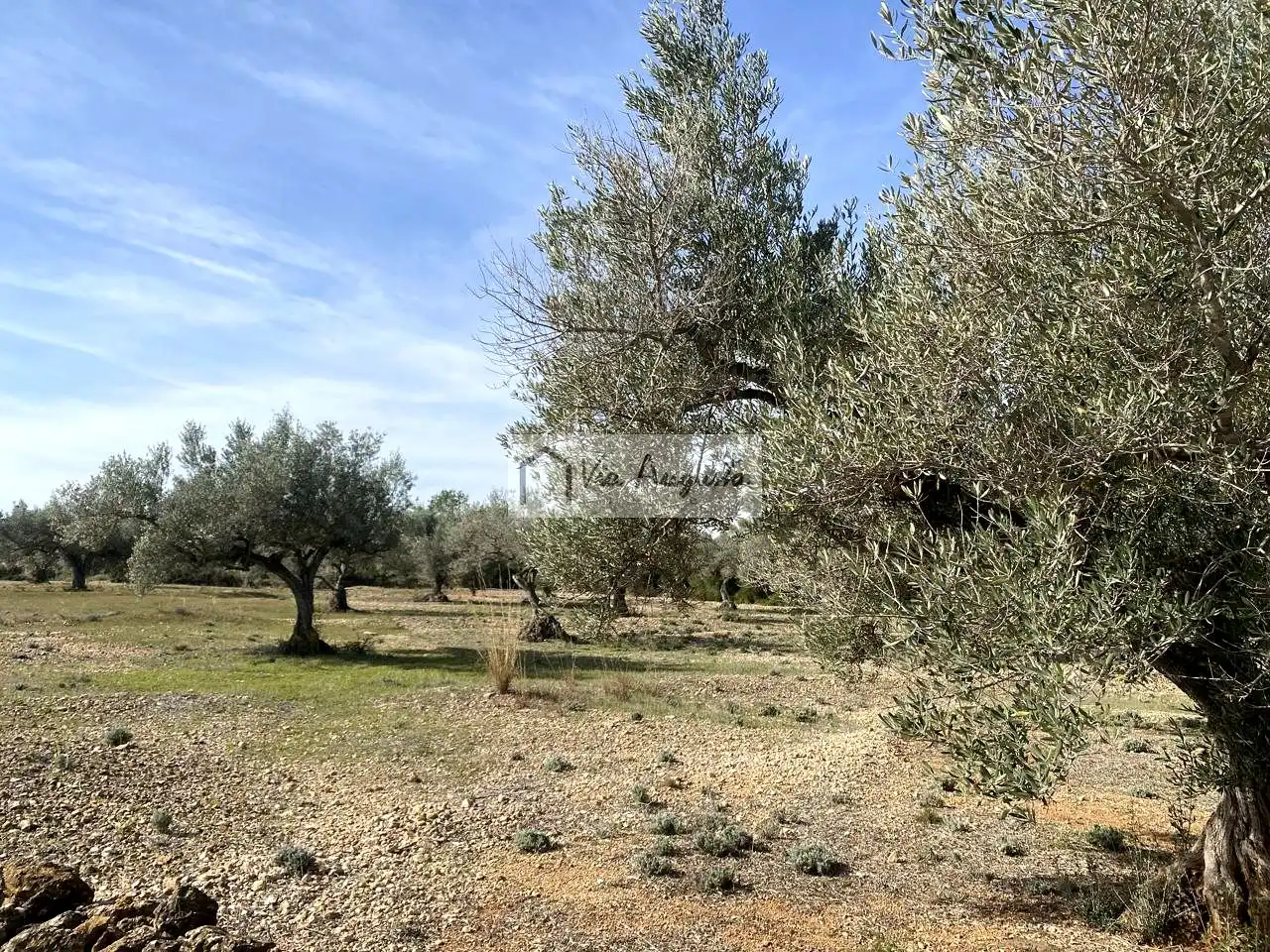 Terreno rustico in vendita a Planas, imagen 18
