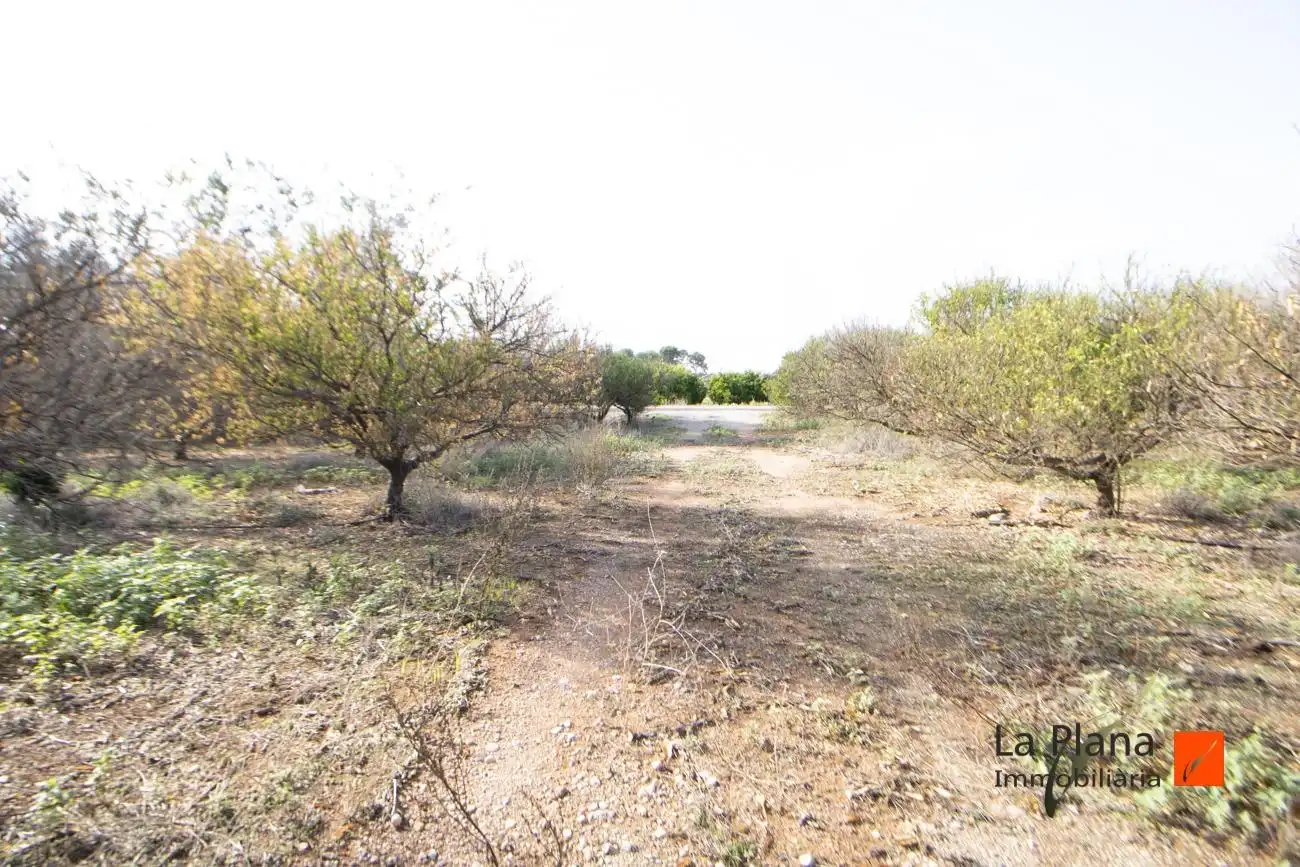 Terreno rustico in vendita a Santa Bàrbara, imagen 8