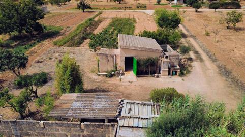 Foto 4 de Finca rústica en venta en Sa Casa Blanca, Illes Balears