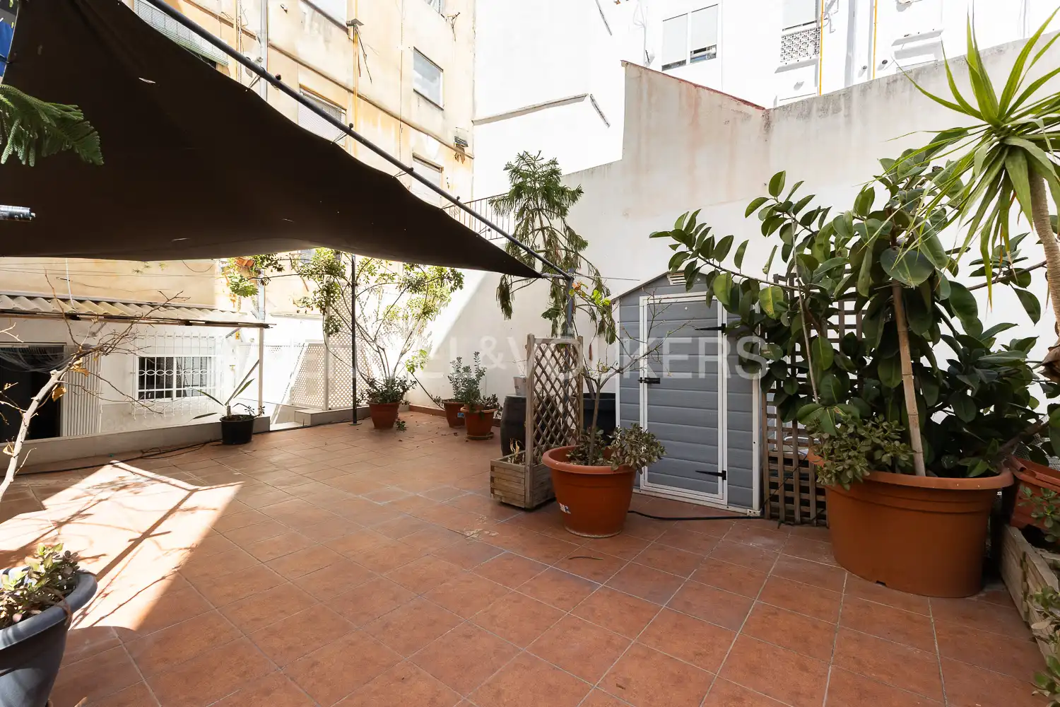 Terrasse von Wohnung zur Miete in Jesús