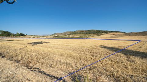 Foto 3 de Finca rústica en venta en Polígono Dilar, Dílar, Granada