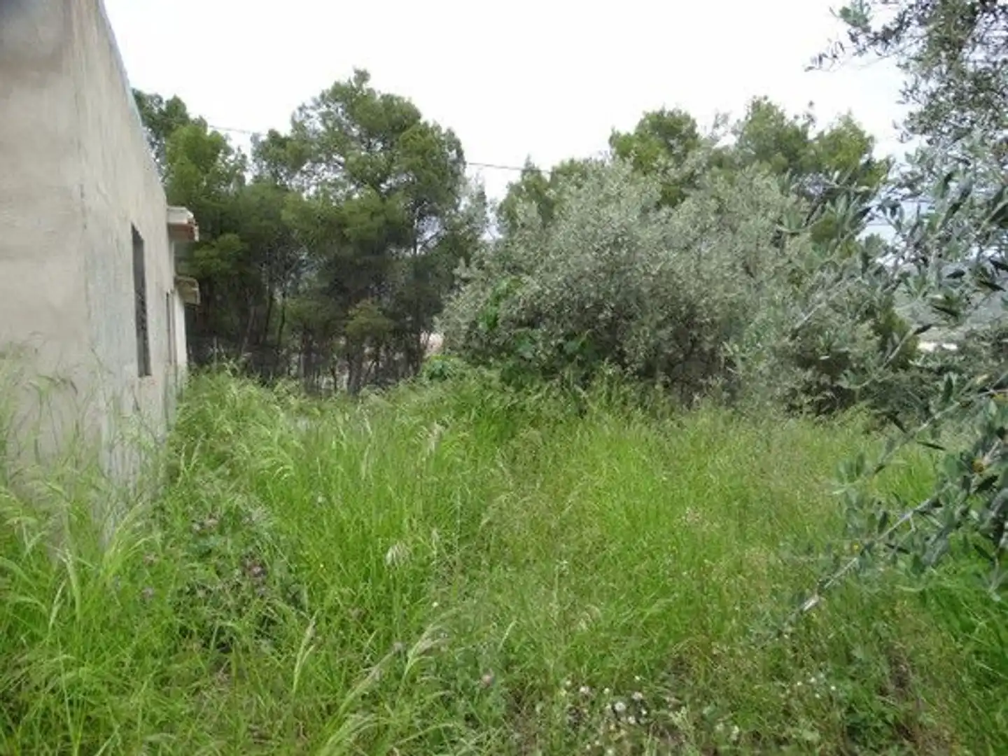 Xalet en venda a Moratalla, imagen 11