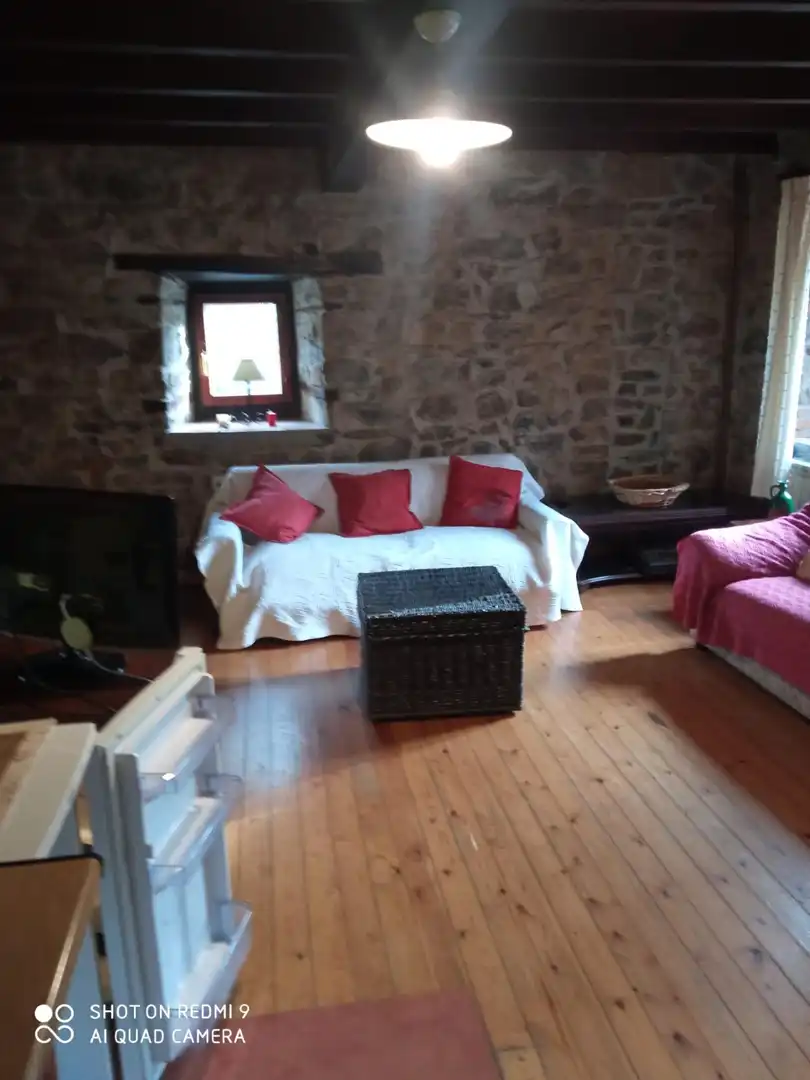 Sala d'estar de Casa o xalet en venda en Pesaguero amb Calefacció, Terrassa i Moblat