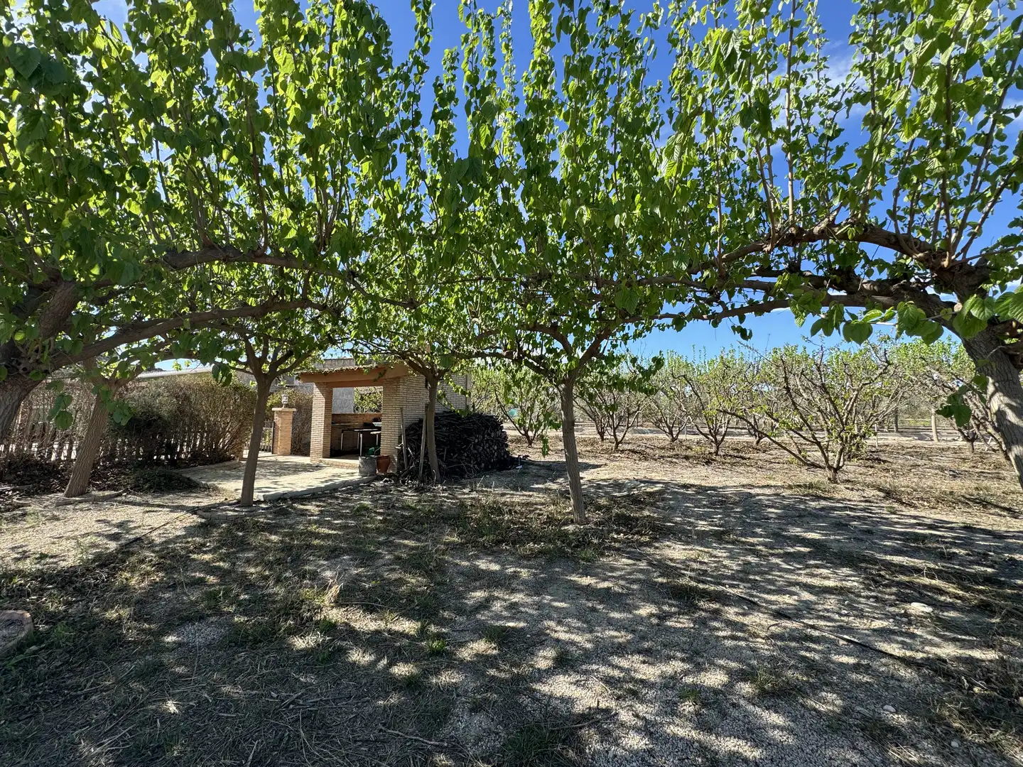 Casa o chalet en venta en Cehegín con Aire acondicionado, Jardín privado y Terraza