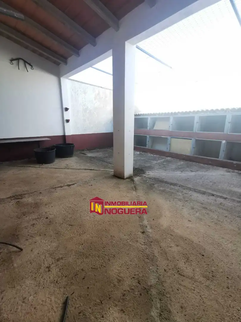 Maison à vendre à Cañada Rosal, imagen 22