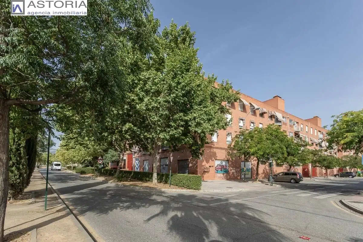 Exterior view of Flat for sale in Granada  with Balcony