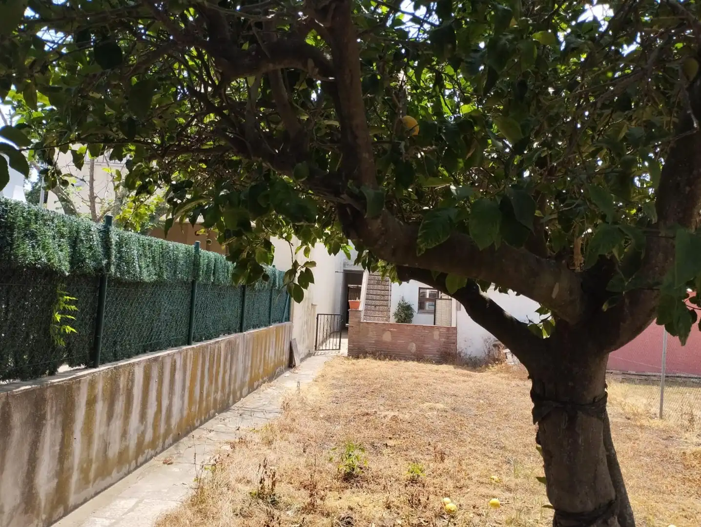 Casa adosada en venta en de l'Illa, Cabanyes - Mas Ambrós - Mas Pallí