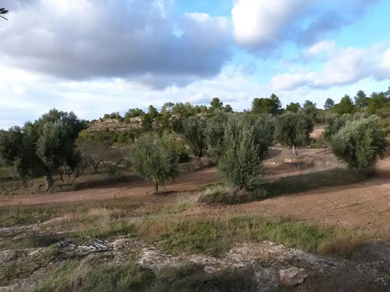 Finca rústica en venta en Valjunquera
