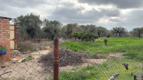 Photo 3 of Land for sale in T-310, 8, Montbrió del Camp, Tarragona