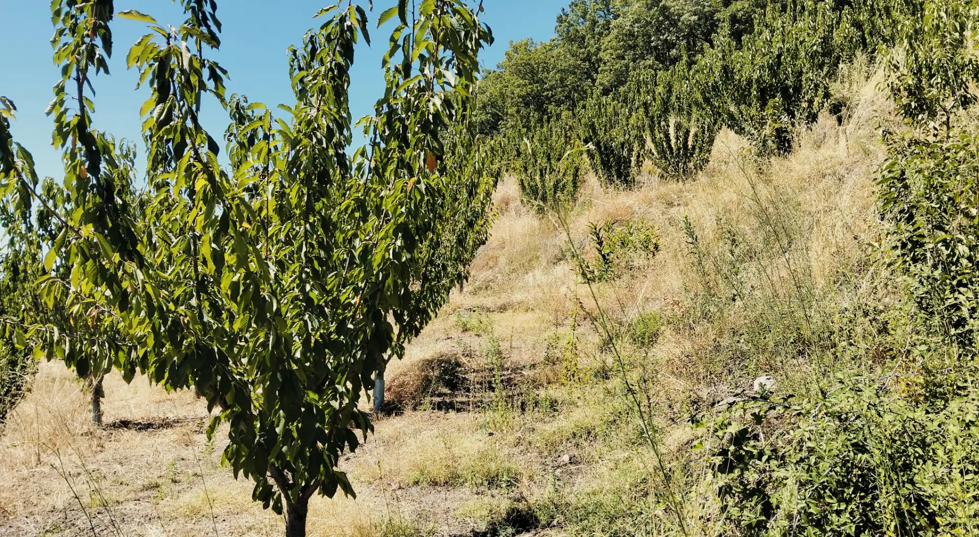 Terreni e lotti in vendita a N/A, imagen 12