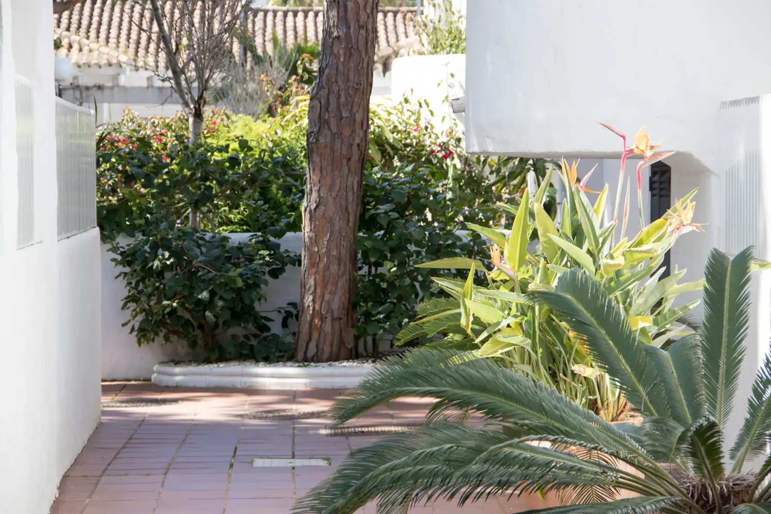 Jardí de Apartament en venda en Chiclana de la Frontera amb Jardí privat, Moblat i Rentadora