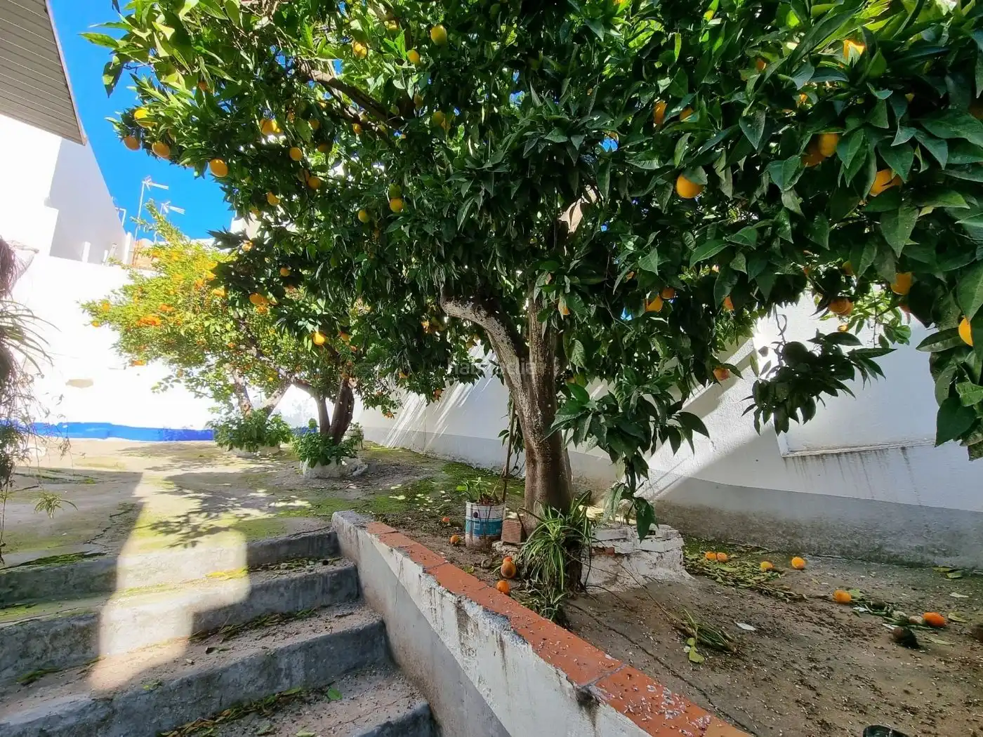 House for sale in Calle Encarnación 18, imagen 16